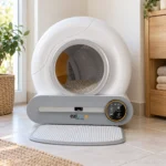 EZIclean CATBOT K8i, in use