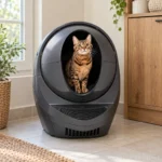 Litter-Robot 3 Connect, 3/4 view